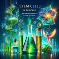 The Allure and Enigmas of Stem Cells: A Deep Dive into Skin Rejuvenation